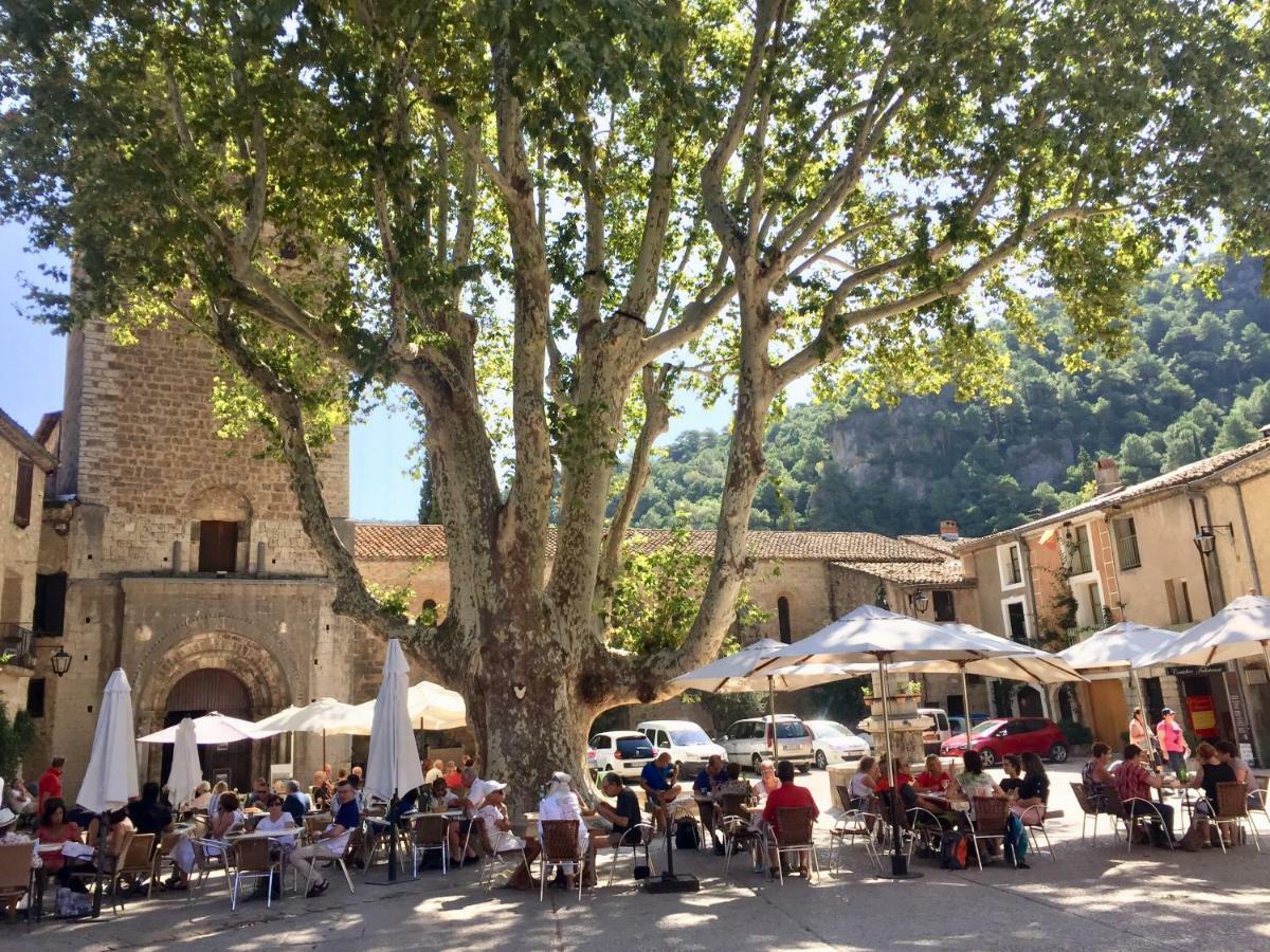 Charmante Maison A Saint Guilhem Le Desert Zewnętrze zdjęcie